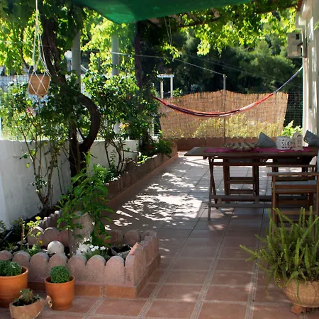 Lemon House *