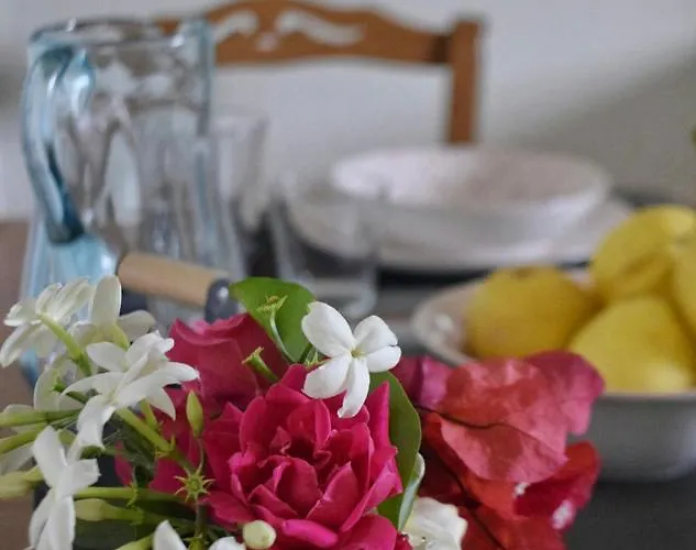 Lemon House Case de vacanță *